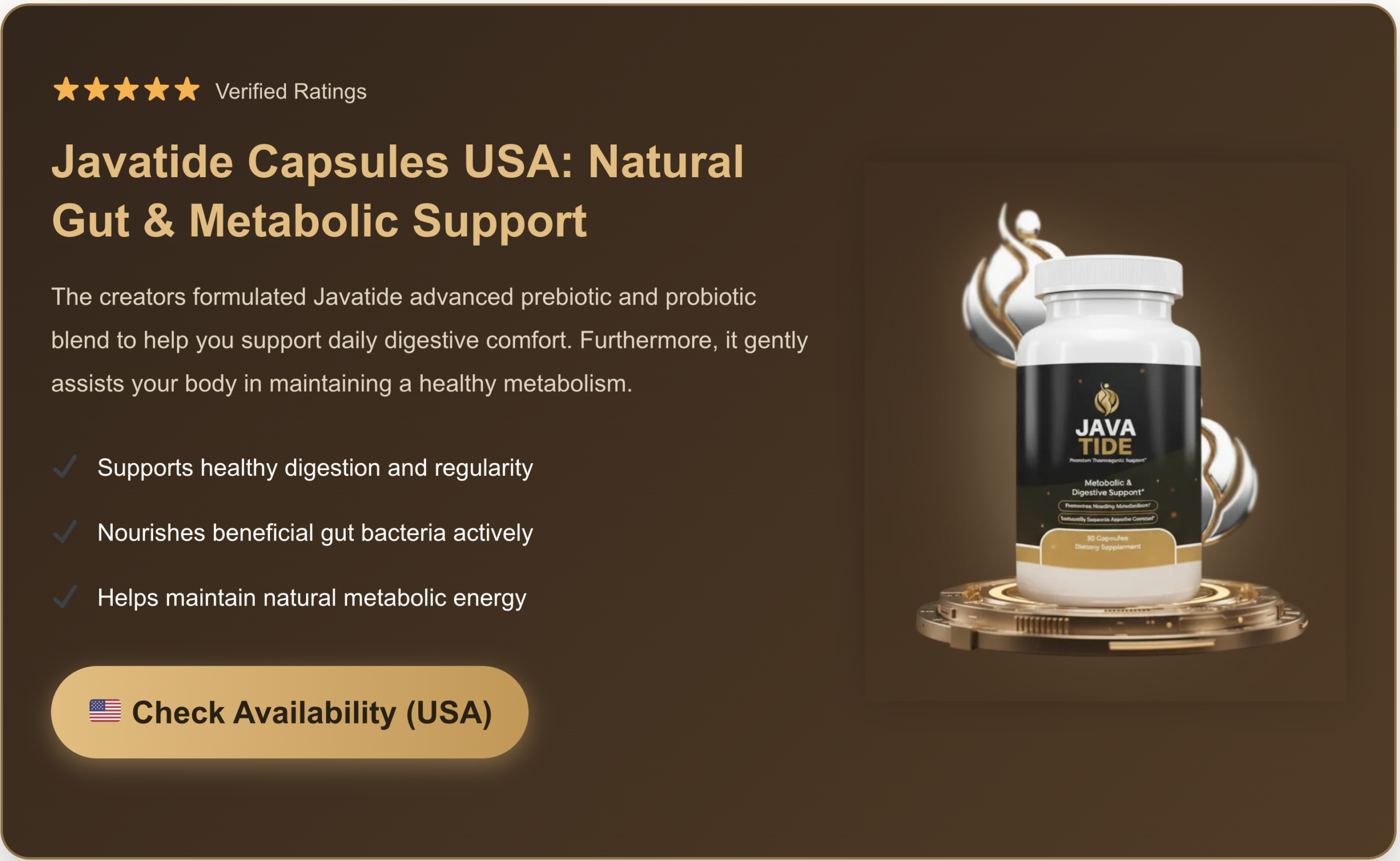 Javatide USA Hero SEO